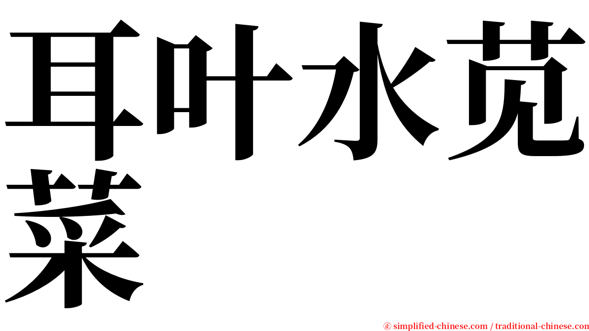 耳叶水苋菜 serif font