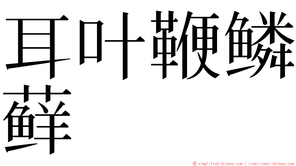 耳叶鞭鳞藓 ming font