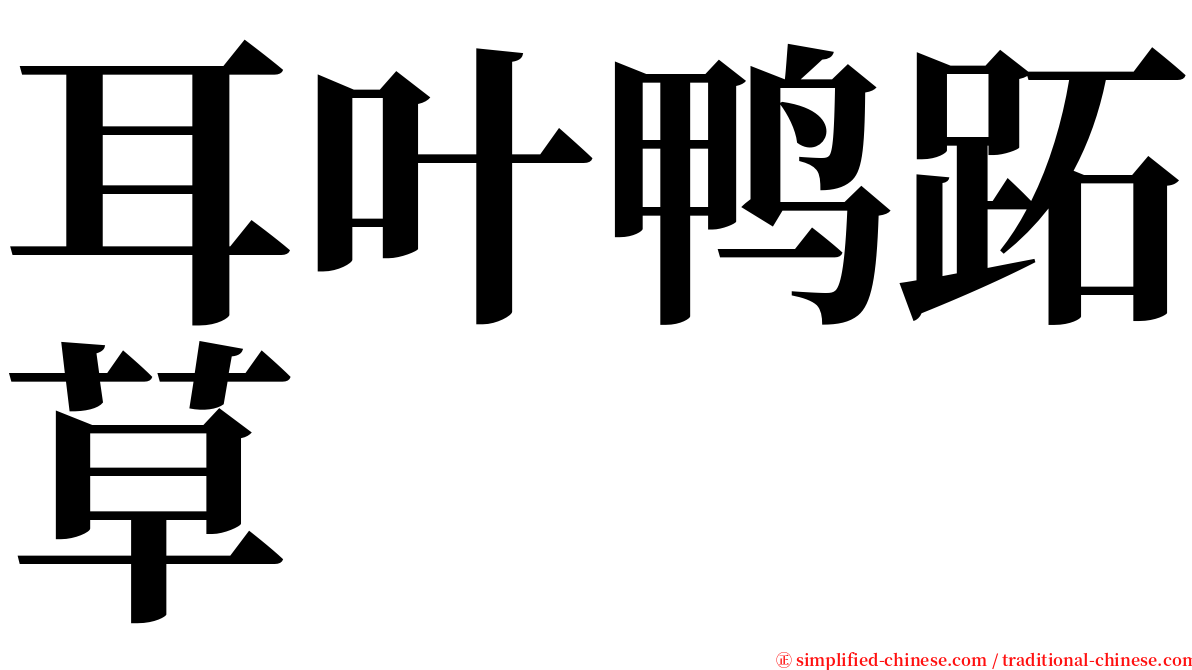 耳叶鸭跖草 serif font