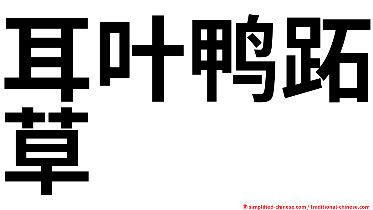 耳叶鸭跖草