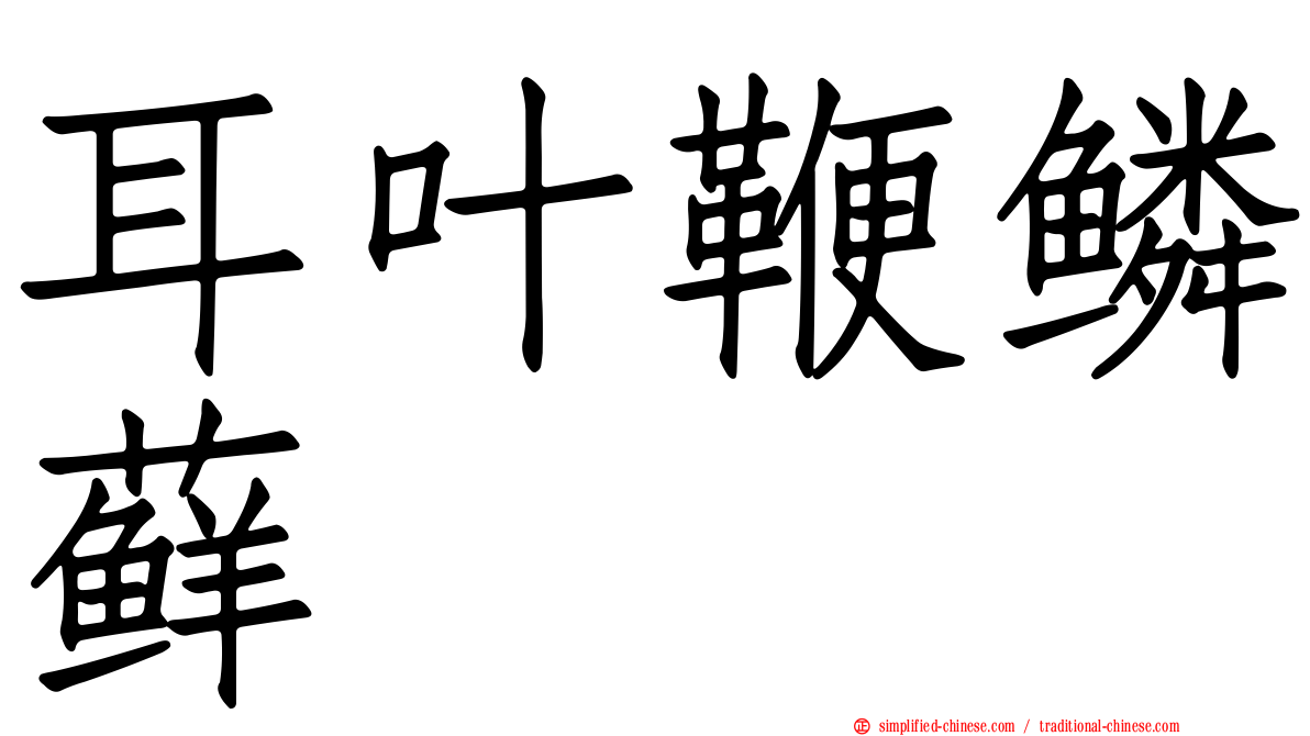 耳叶鞭鳞藓