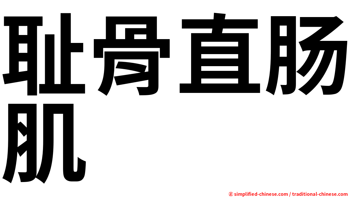 耻骨直肠肌