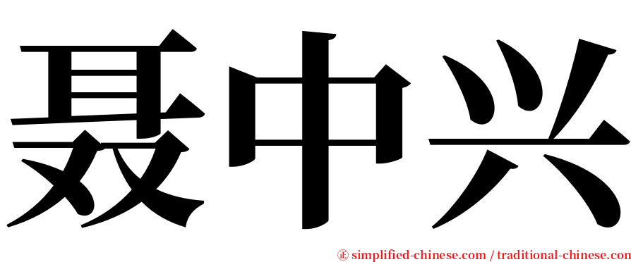 聂中兴 serif font