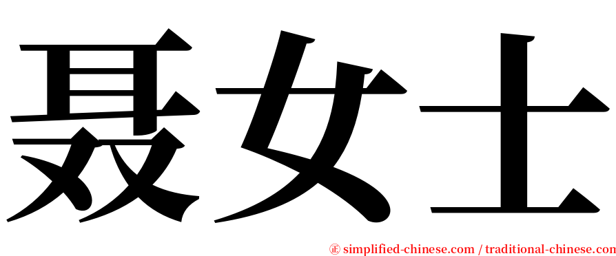 聂女士 serif font