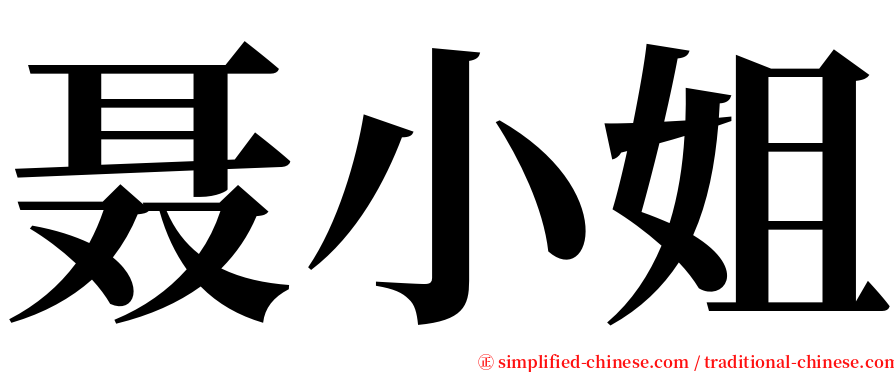聂小姐 serif font
