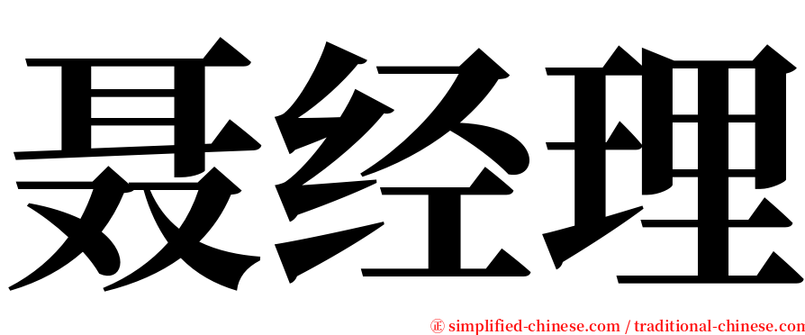聂经理 serif font