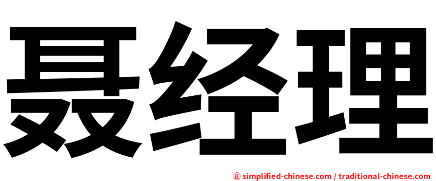 聂经理