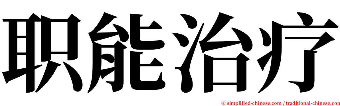 职能治疗 serif font