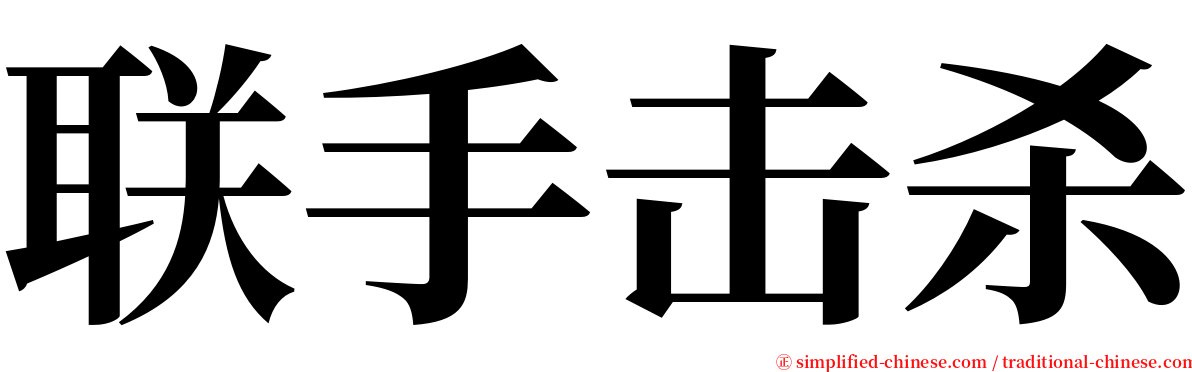 联手击杀 serif font