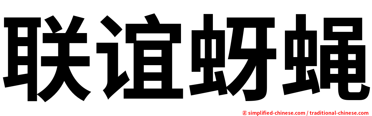 联谊蚜蝇