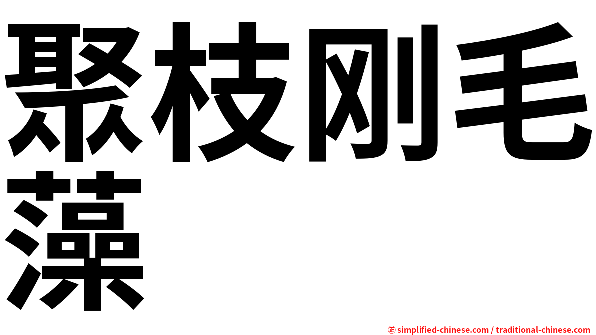 聚枝刚毛藻