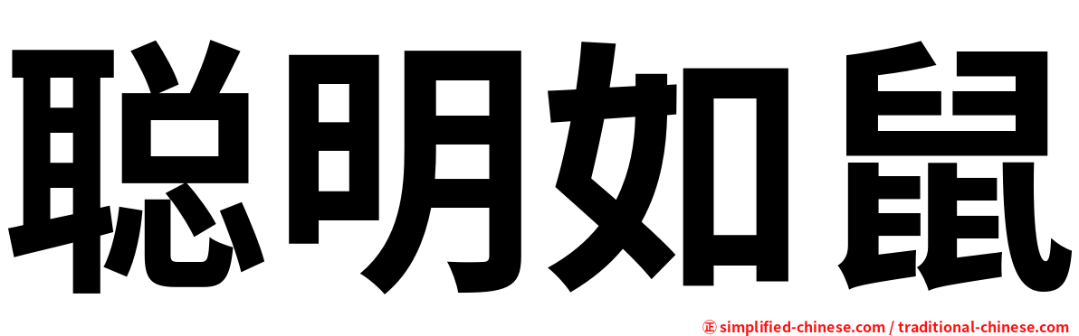 聪明如鼠