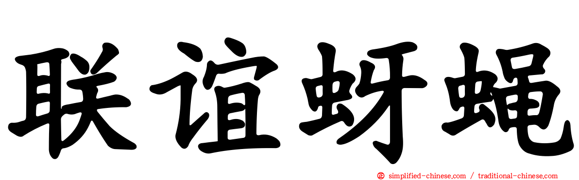 联谊蚜蝇