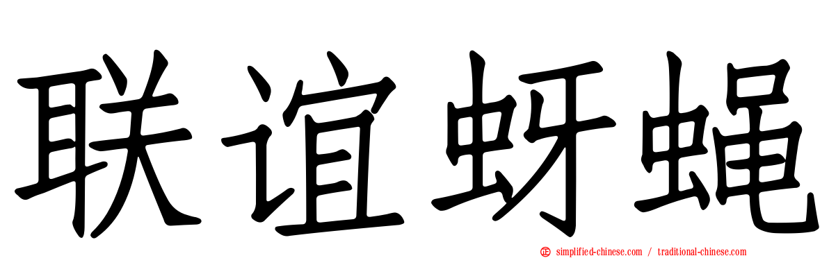 联谊蚜蝇