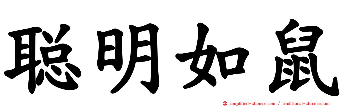 聪明如鼠