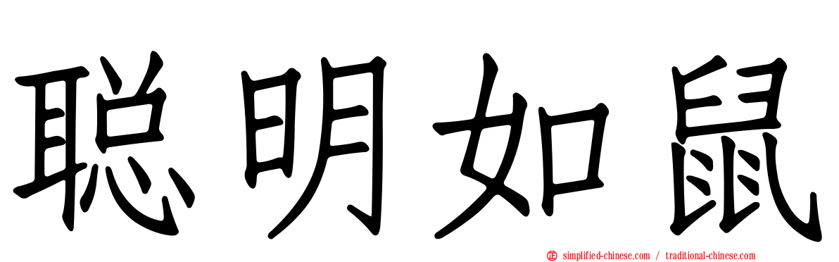 聪明如鼠