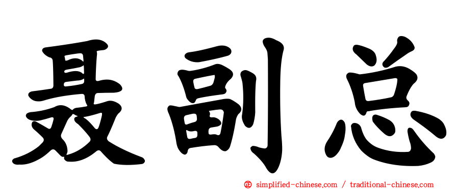 聂副总