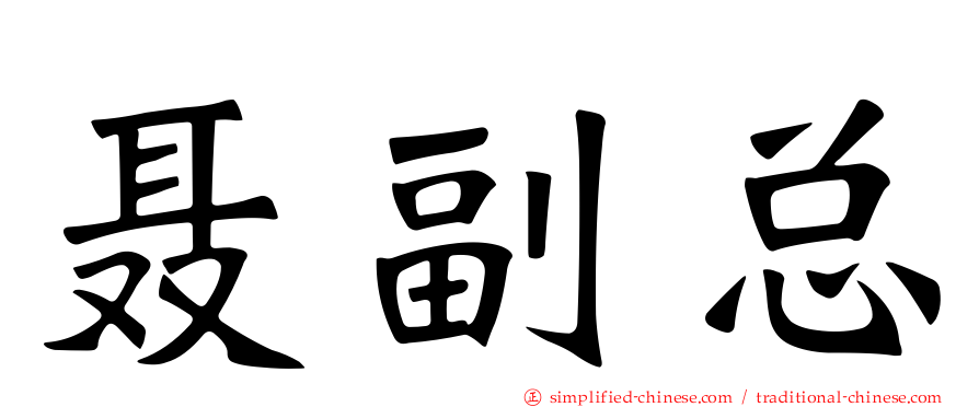 聂副总
