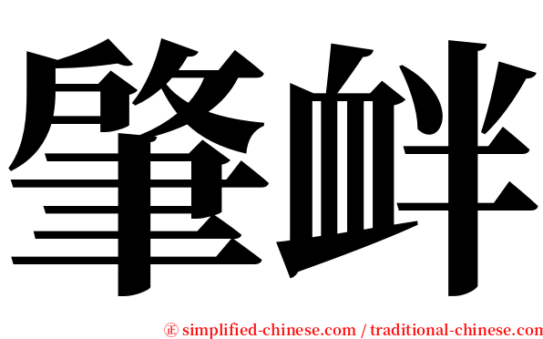 肇衅 serif font