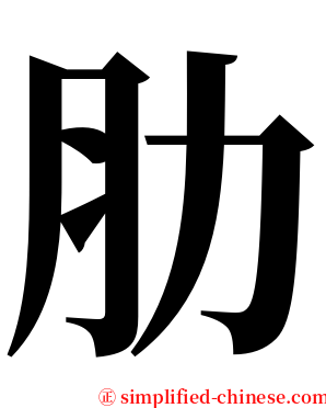 肋 serif font