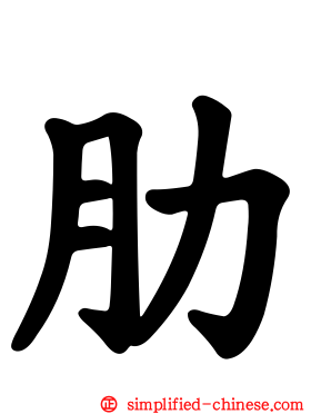 肋