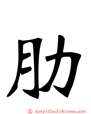 肋