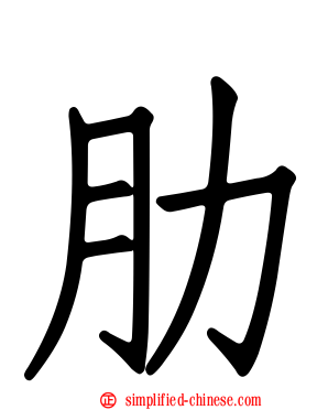 肋