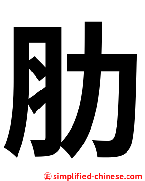 肋