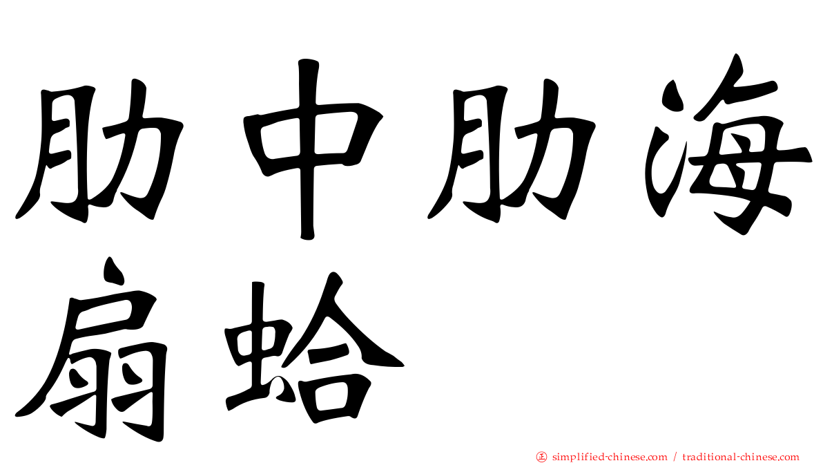 肋中肋海扇蛤