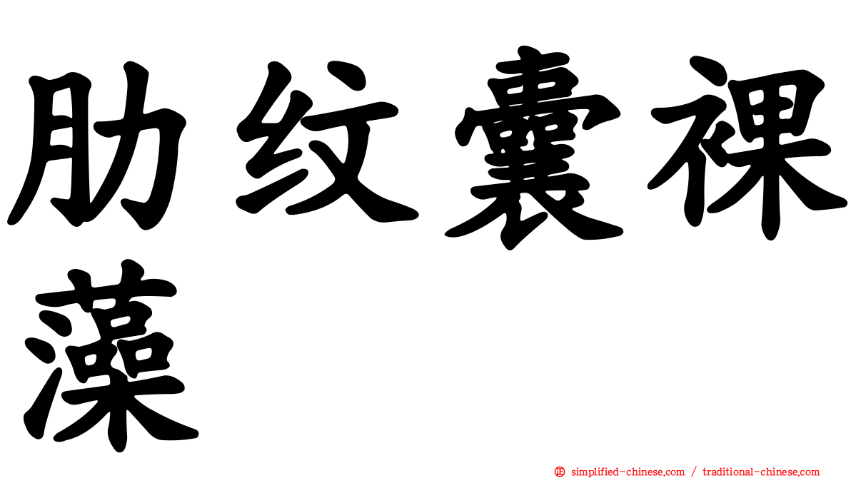 肋纹囊裸藻