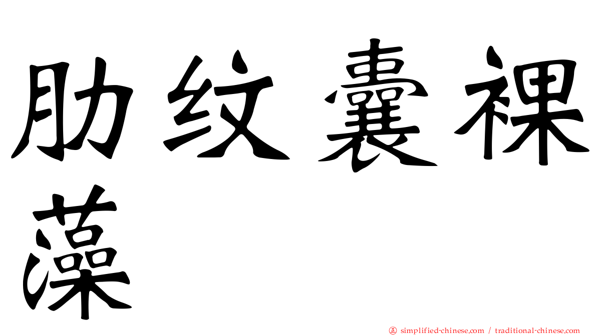 肋纹囊裸藻