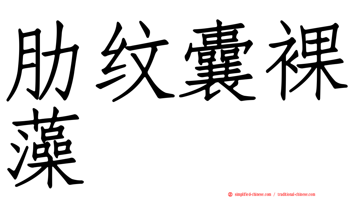 肋纹囊裸藻