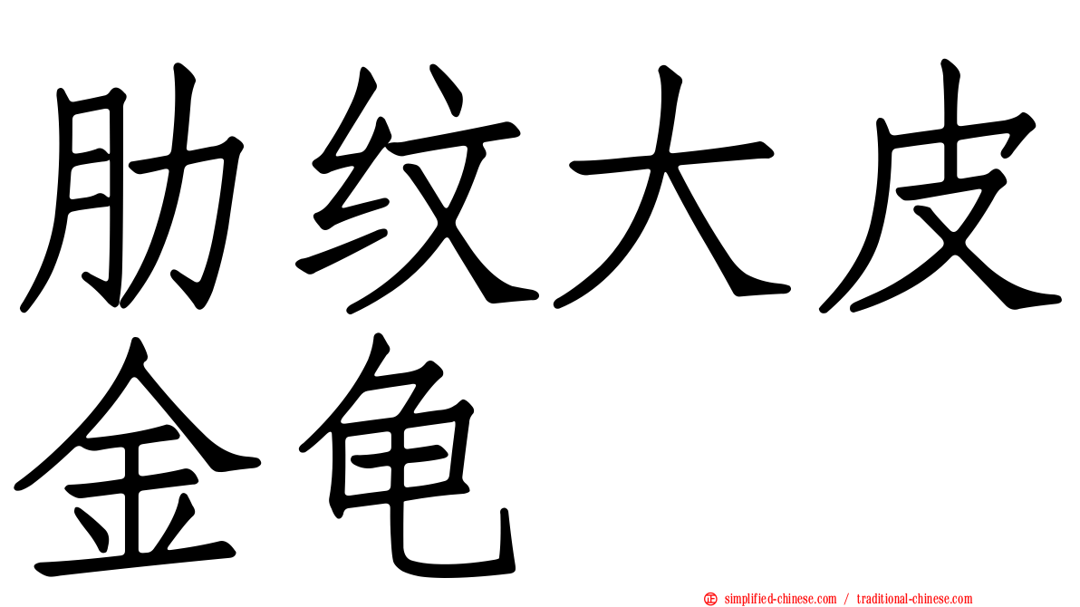 肋纹大皮金龟