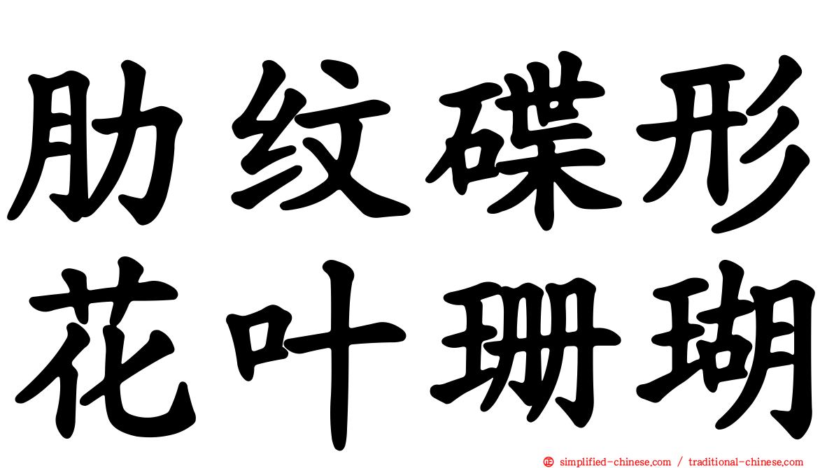 肋纹碟形花叶珊瑚