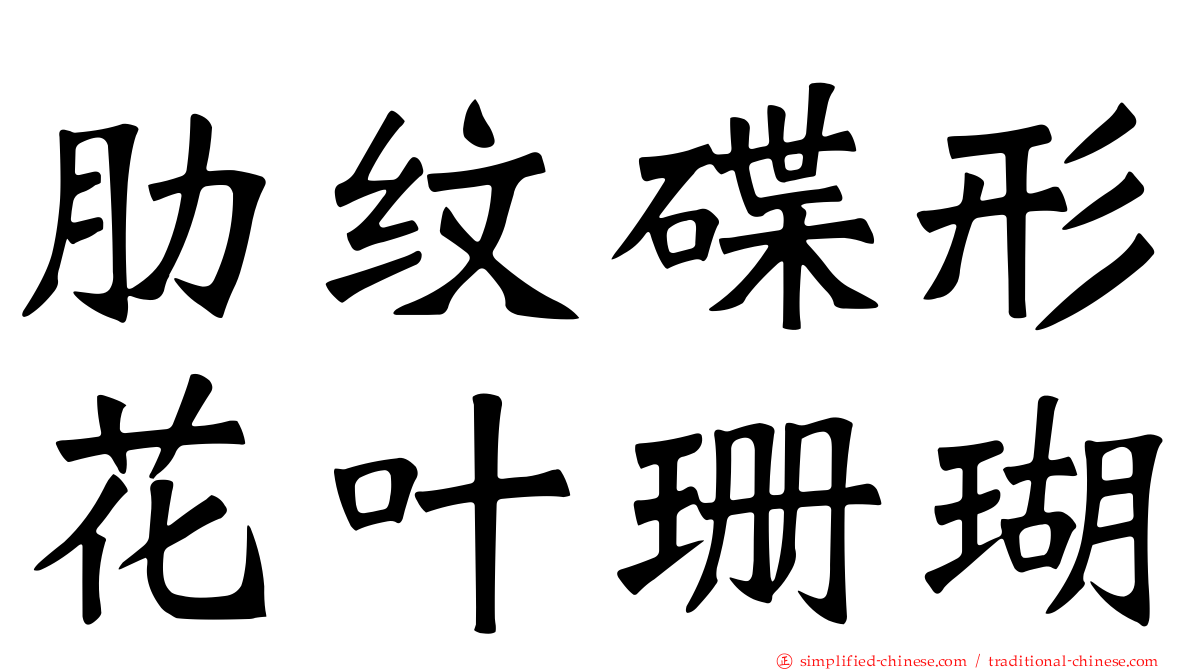 肋纹碟形花叶珊瑚