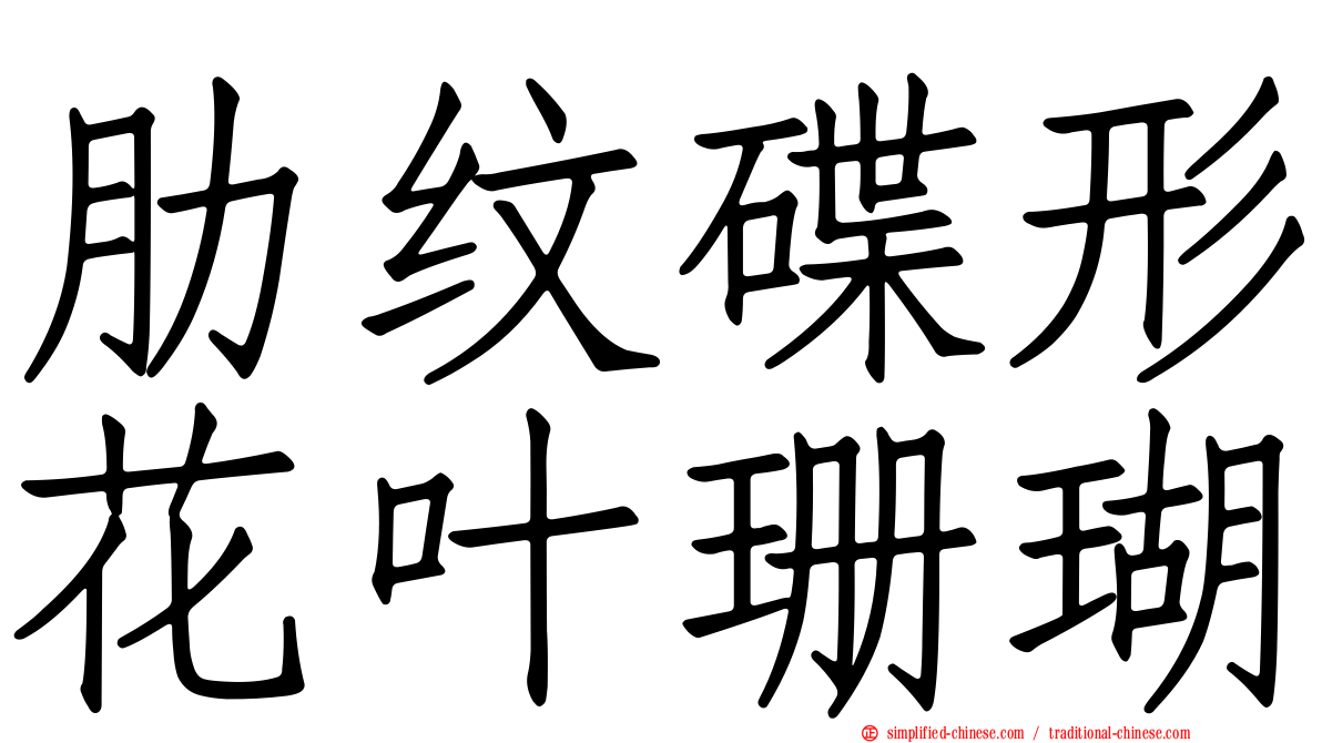肋纹碟形花叶珊瑚