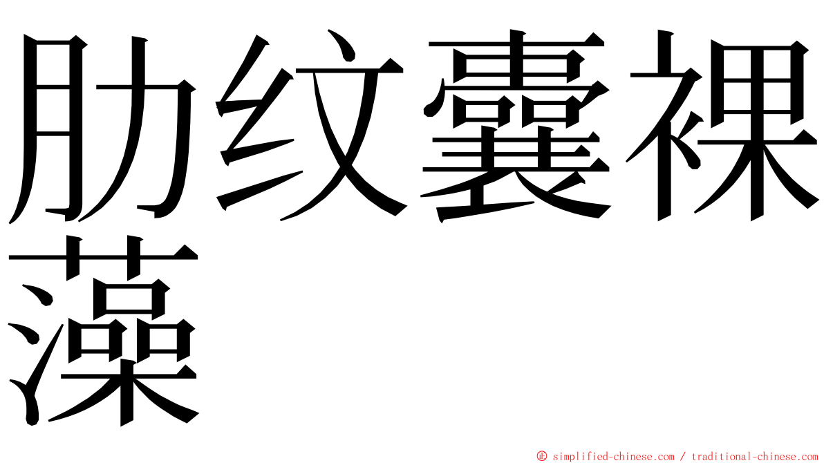 肋纹囊裸藻 ming font