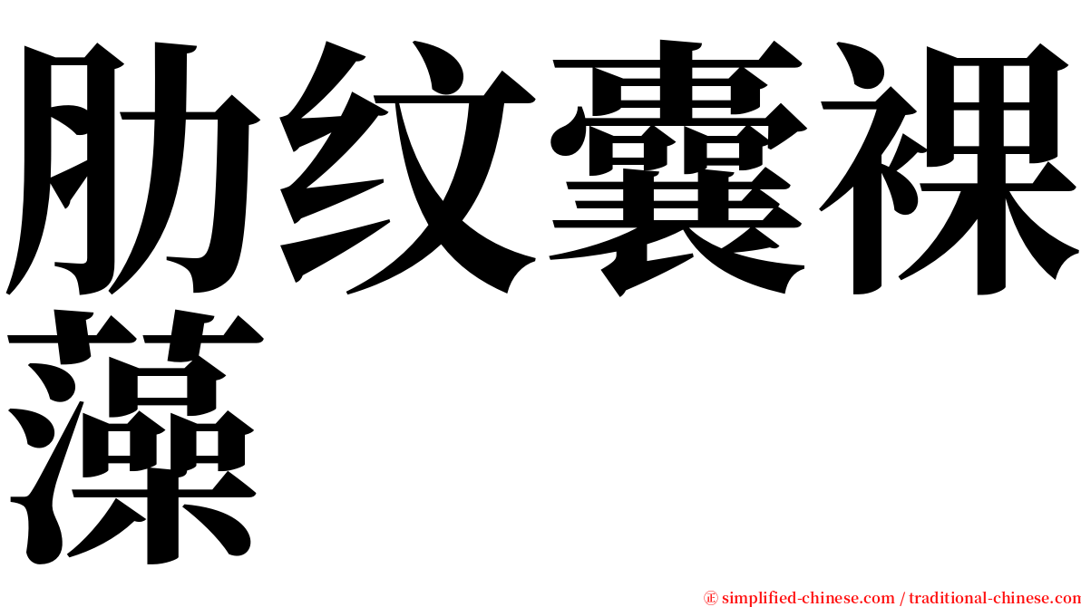 肋纹囊裸藻 serif font