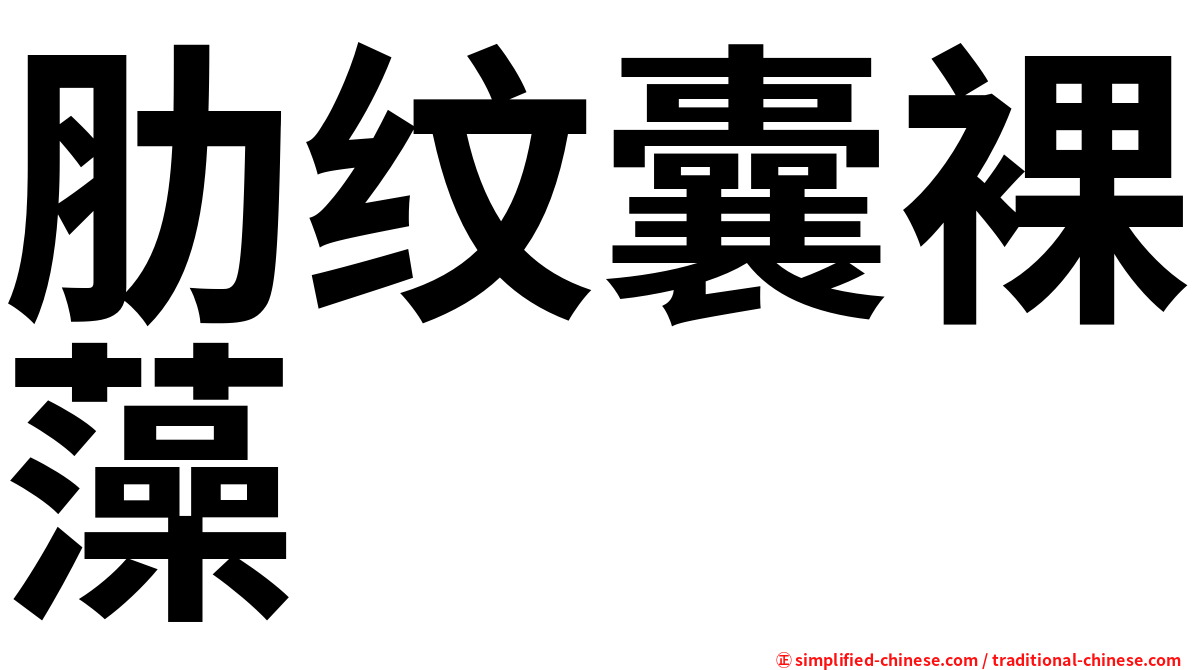 肋纹囊裸藻