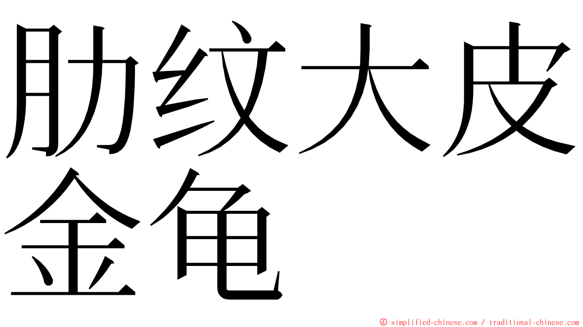 肋纹大皮金龟 ming font