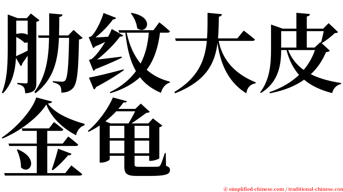 肋纹大皮金龟 serif font
