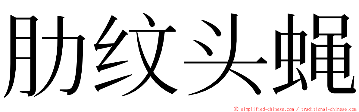 肋纹头蝇 ming font