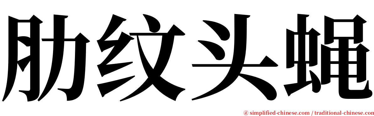 肋纹头蝇 serif font