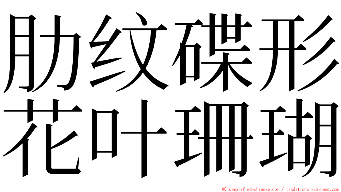 肋纹碟形花叶珊瑚 ming font