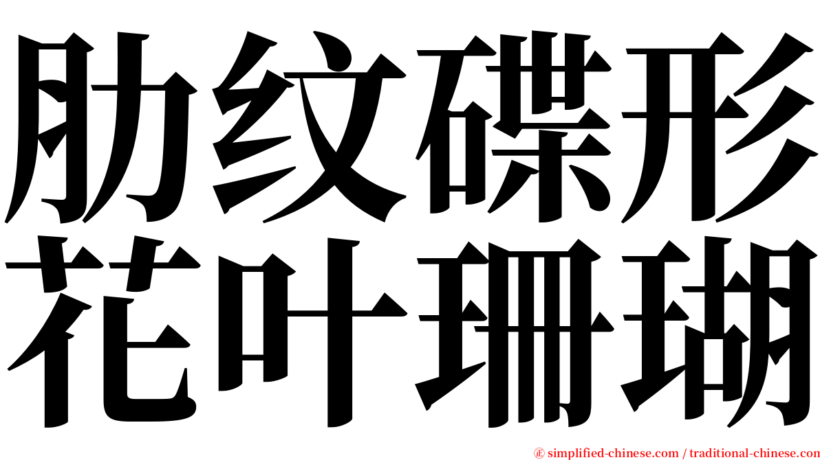 肋纹碟形花叶珊瑚 serif font