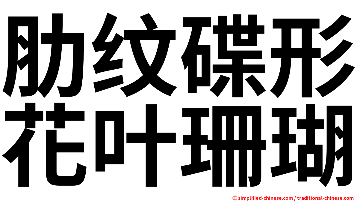 肋纹碟形花叶珊瑚