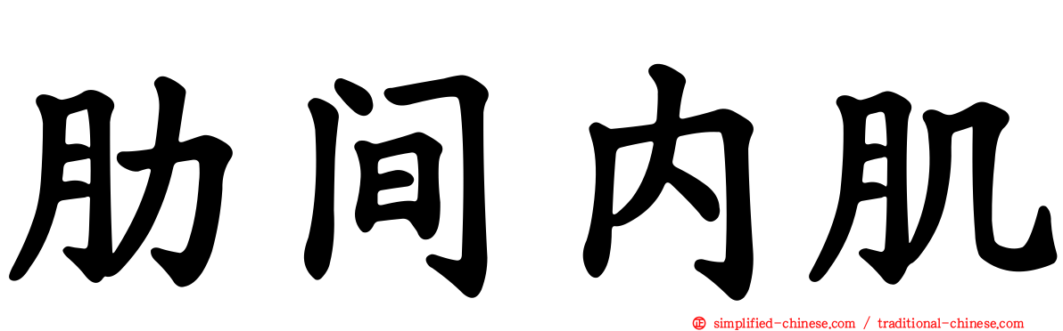肋间内肌