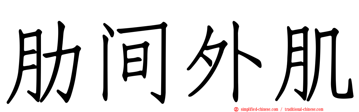 肋间外肌