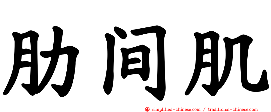 肋间肌