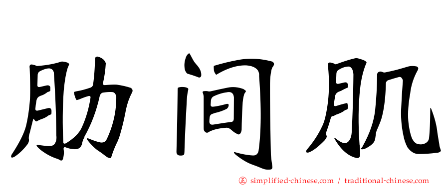 肋间肌